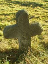 Poln 2008-11-01 (k a muka).JPG