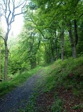 Lysice, obora 03.JPG