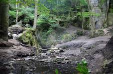 Rudicke propadani (2016) 1.jpg