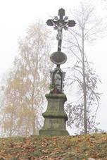 Borovn - kek na okraji obce.JPG