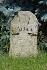 Markvartice - smr kmen.JPG