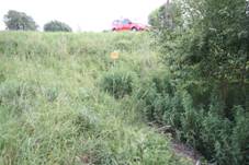 Spring of Brtnice River in Lesn�, T�eb�� District.JPG