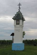 Bo muka ve vinicch.jpg