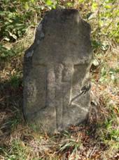 Jihlava - smr kmen v Kosovsk ulici (3).JPG