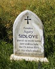 Bo muka Petrovice.jpg