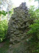 Zcenina Holoubek.JPG