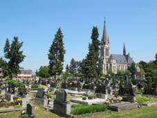 Vtkov, hbitov (1).JPG