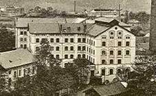 Brnnlitz, Villa Daubek und Mhle