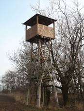 Rozhledna Statula pohled ze zapadu.JPG