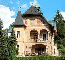 Vsledek obrzku pro luhaovice vila regia