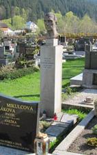 Velk Karlovice, hrob Aloise Schneiderky.jpg