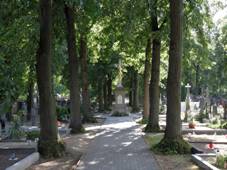 Kenovice (okres Vykov) - hbitovn alej.jpg