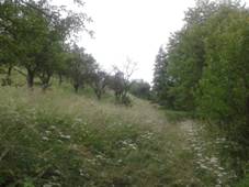 Prodn pamtka Kopaniny (Ondratice) 2.jpg