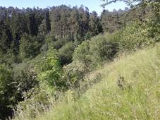 Hradisko Zelen Hora 5.jpg