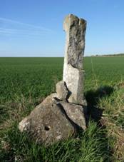 Havranky, ruins in field (5).JPG